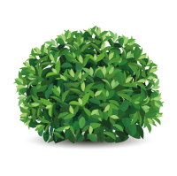 48abf76916e30deadb5b154daab5dba76d466d86